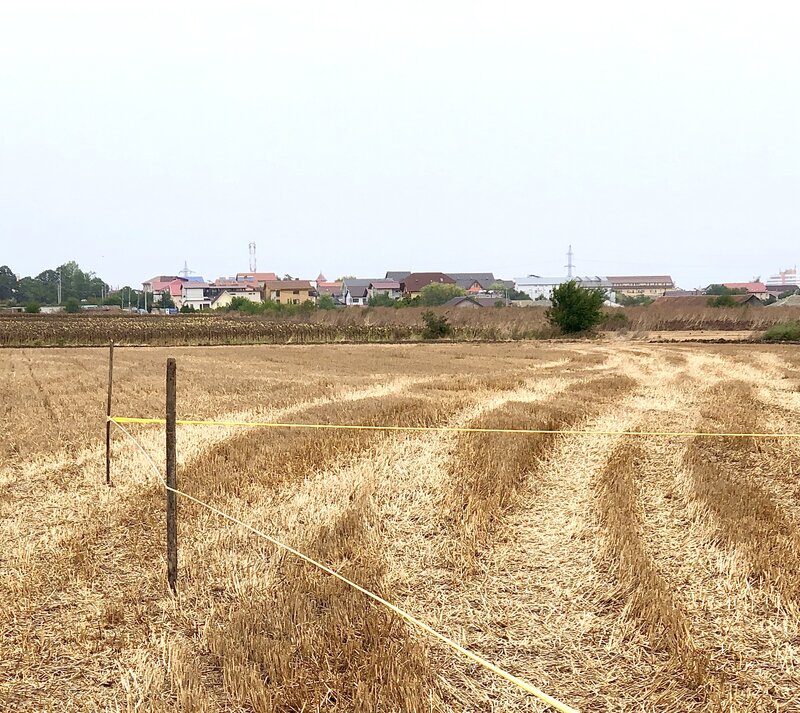 Costinesti,
