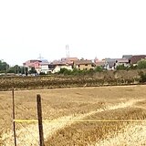 Costinesti